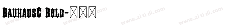 BauhausC Bold字体转换